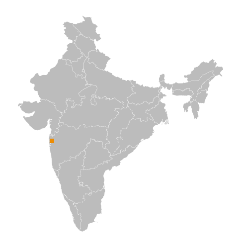Kz Trading india